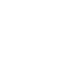 partner-logo-gold-integrator-white